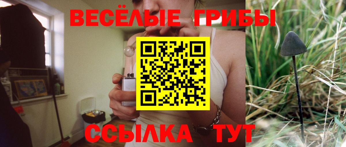 Псилоцибиновые грибы ЛСД Коломна